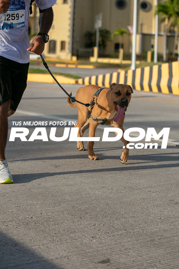 MMPTY-RLDM-458.jpg