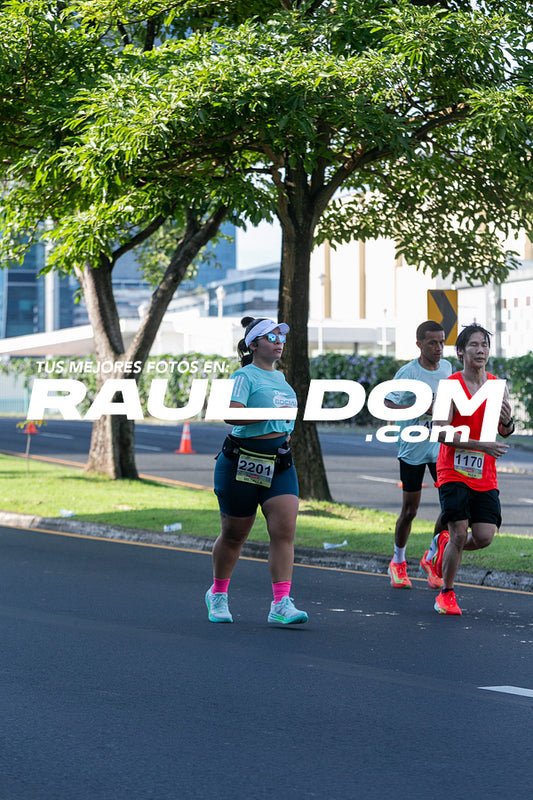 CC15k-RD-333.jpg