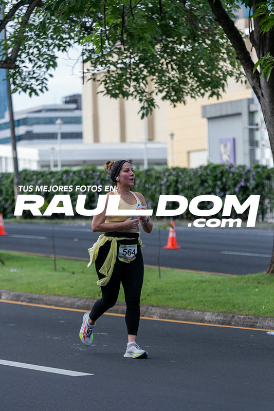 CC15k-RD-183.jpg