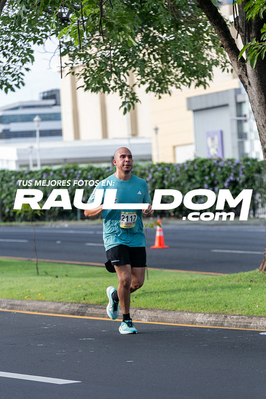 CC15k-RD-217.jpg