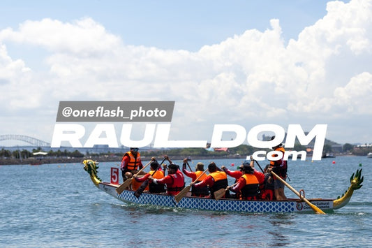 BotesDragon-oneflashphoto-440.jpg