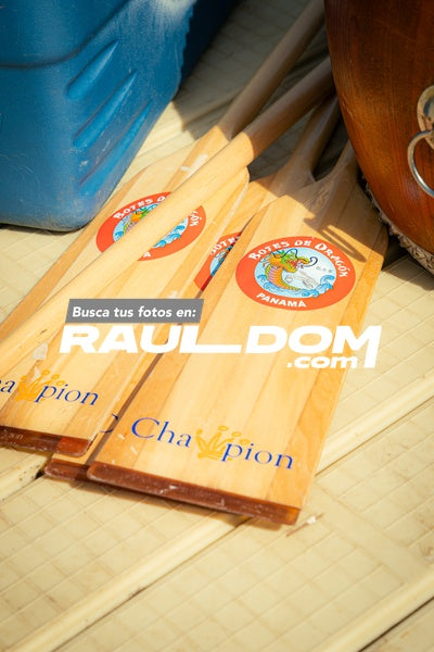 BotesDragon-shooterpa-00331.jpg