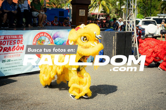 BotesDragon-shooterpa-00839.jpg