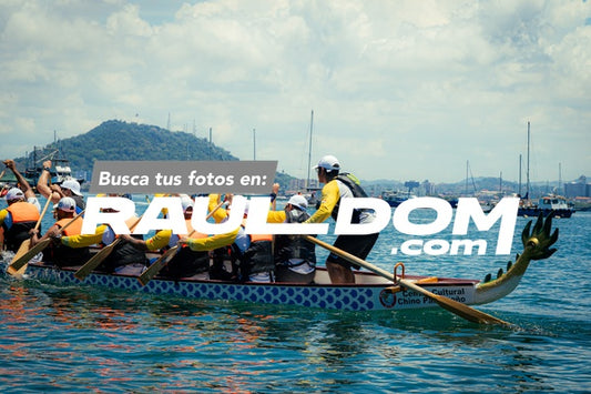 BotesDragon-shooterpa-01956.jpg
