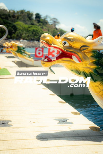 BotesDragon-shooterpa-08985.jpg