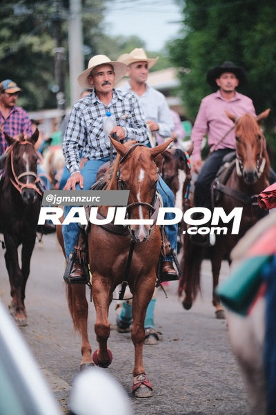 CabalgataDolega-jgmanzurc-214.jpg