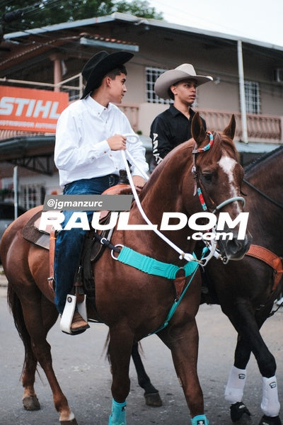 CabalgataDolega-jgmanzurc-22.jpg