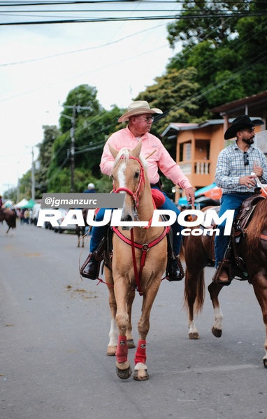 CabalgataDolega-jgmanzurc-62.jpg