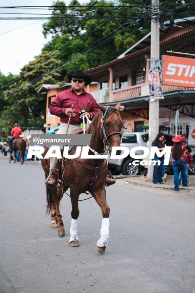 CabalgataDolega-jgmanzurc-64.jpg