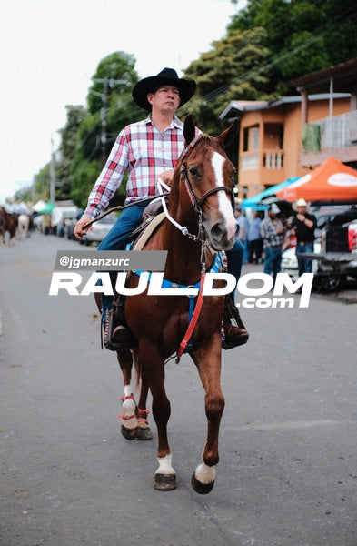 CabalgataDolega-jgmanzurc-71.jpg
