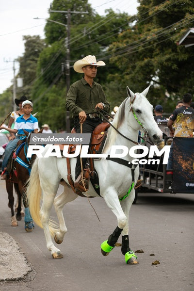 CabalgataDolega-rauldom-2658.jpg