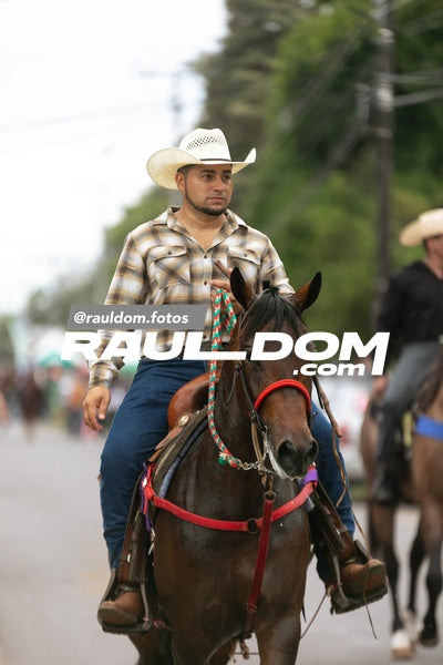CabalgataDolega-rauldom-2668.jpg