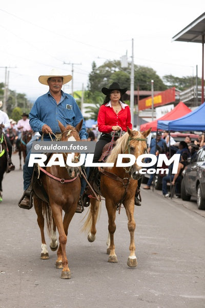 CabalgataDolega-rauldom-2741.jpg