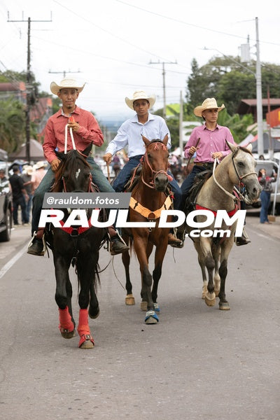 CabalgataDolega-rauldom-2753.jpg