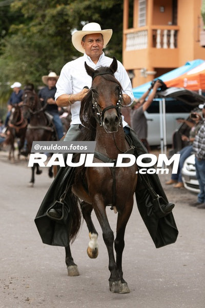 CabalgataDolega-rauldom-2812.jpg