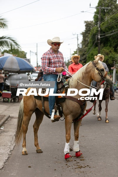 CabalgataDolega-rauldom-2830.jpg