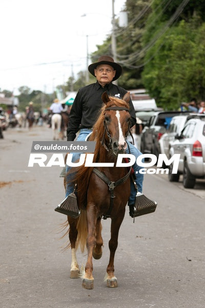 CabalgataDolega-rauldom-2881.jpg