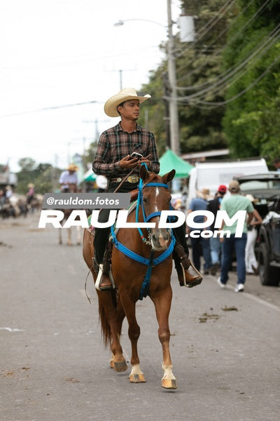CabalgataDolega-rauldom-2883.jpg