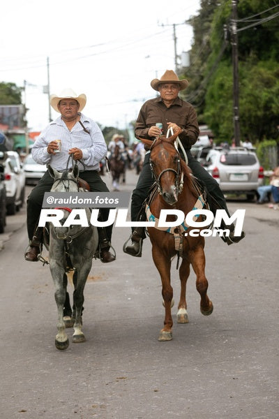 CabalgataDolega-rauldom-2976.jpg