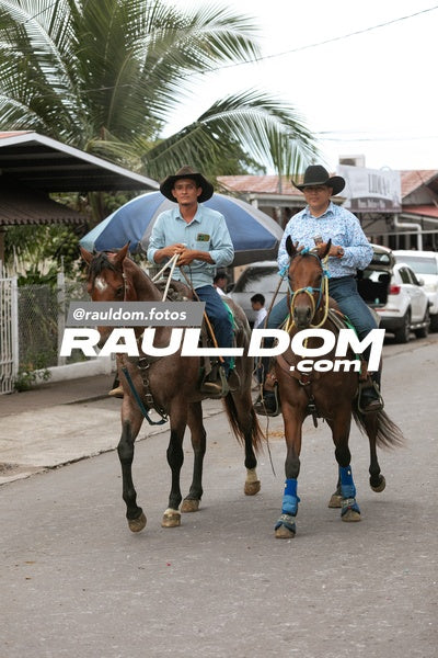 CabalgataDolega-rauldom-2977.jpg