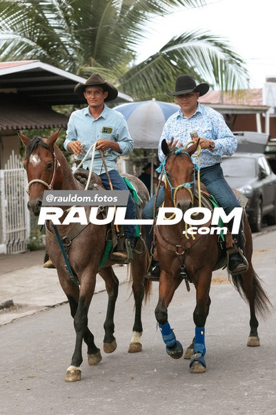 CabalgataDolega-rauldom-2978.jpg