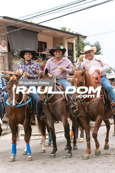 CabalgataDolega-rauldom-3269.jpg