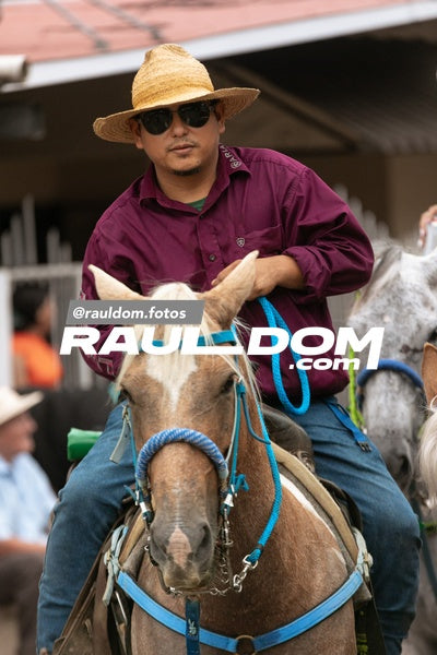 CabalgataDolega-rauldom-3633.jpg