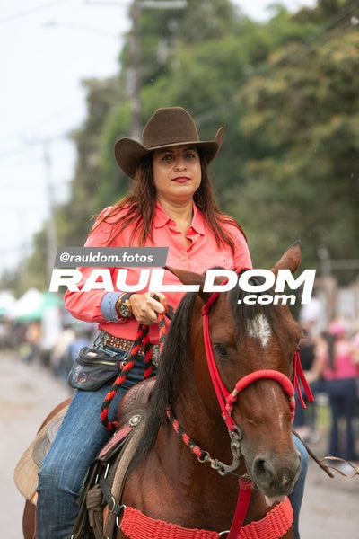 CabalgataDolega-rauldom-3713.jpg
