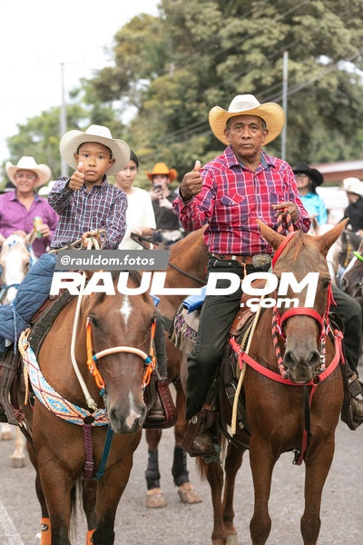 CabalgataDolega-rauldom-3748.jpg