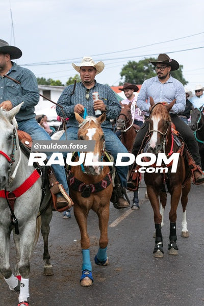 CabalgataDolega-rauldom-3939.jpg