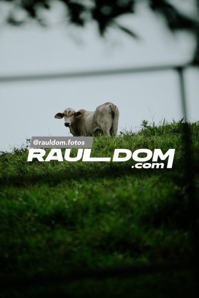 CanajaguaTrail-rauldom-53122.jpg
