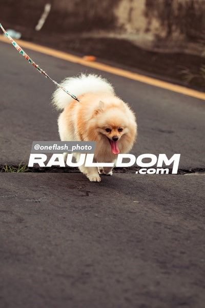 CircuitoCity15k-oneflashphoto-2598.jpg