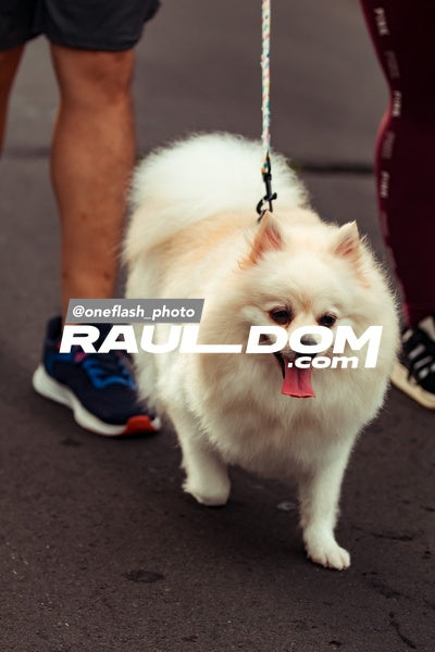 CircuitoCity15k-oneflashphoto-2600.jpg