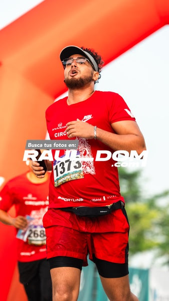 CircuitoCity8k-morninsito-1000.jpg