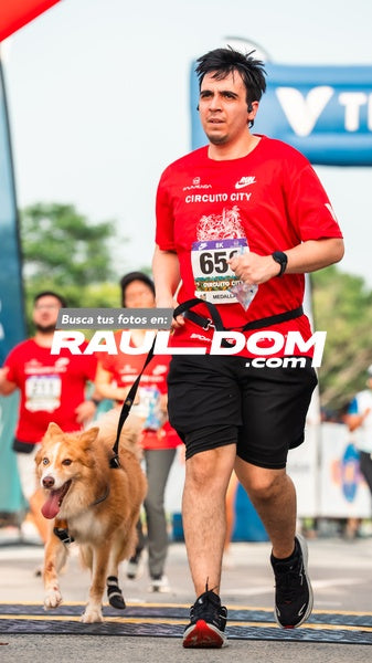 CircuitoCity8k-morninsito-550.jpg