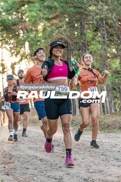 CircuitoTrail10k-jorgejuradofoto-350.jpg