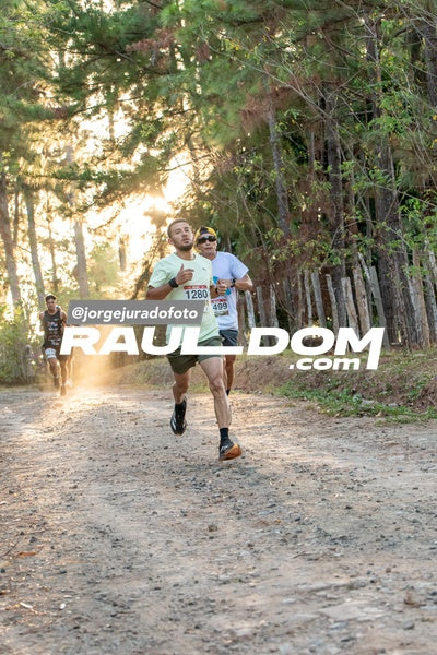 CircuitoTrail10k-jorgejuradofoto-38.jpg