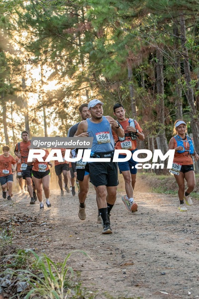 CircuitoTrail10k-jorgejuradofoto-393.jpg
