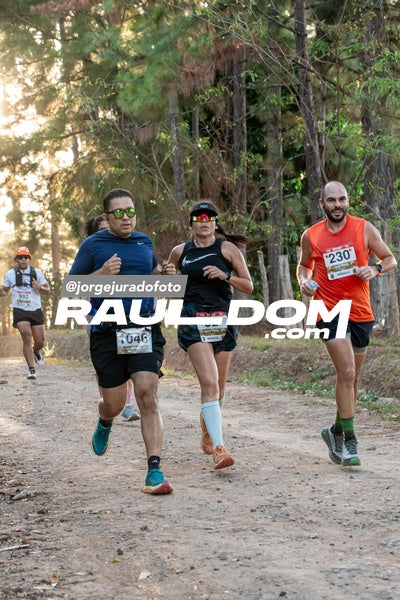 CircuitoTrail10k-jorgejuradofoto-479.jpg