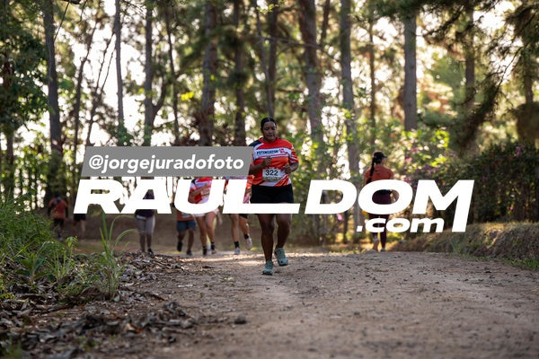 CircuitoTrail10k-jorgejuradofoto-684.jpg