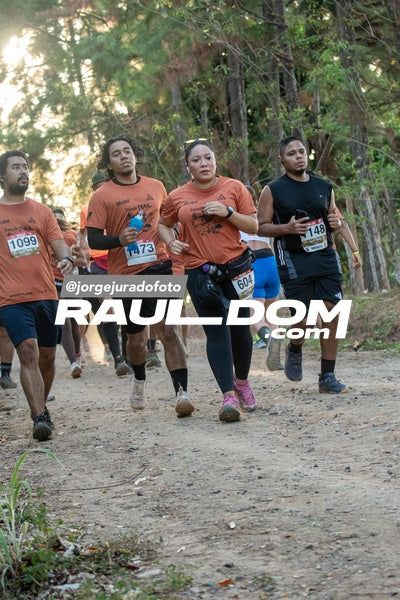 CircuitoTrail10k-jorgejuradofoto-810.jpg