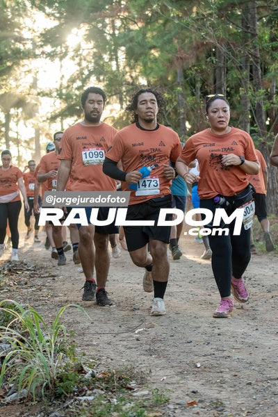 CircuitoTrail10k-jorgejuradofoto-811.jpg