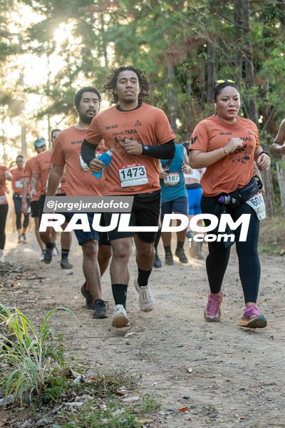 CircuitoTrail10k-jorgejuradofoto-812.jpg
