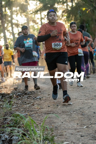 CircuitoTrail10k-jorgejuradofoto-936.jpg