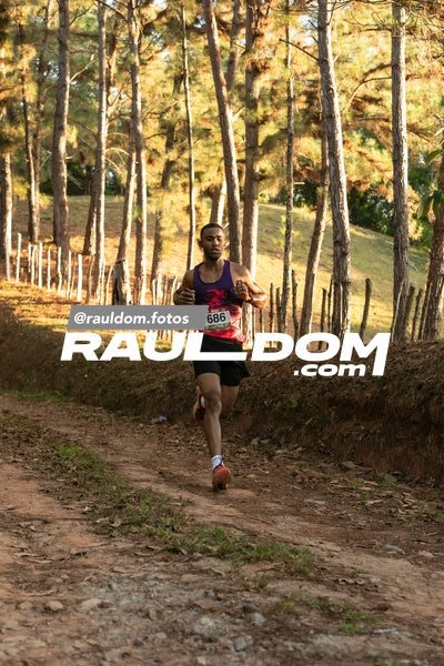CircuitoTrail10k-rauldom-8464.jpg