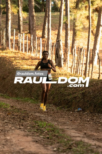 CircuitoTrail10k-rauldom-8514.jpg