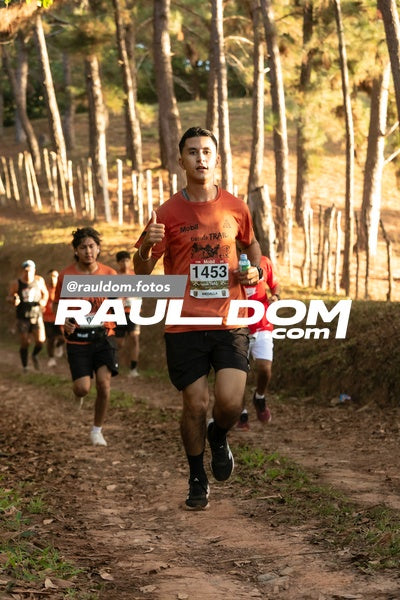 CircuitoTrail10k-rauldom-8785.jpg