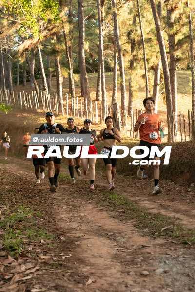 CircuitoTrail10k-rauldom-8790.jpg