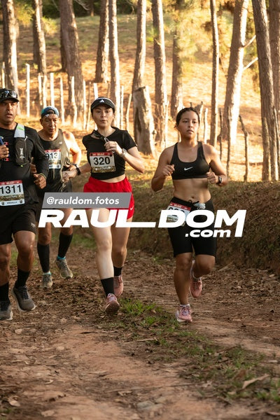 CircuitoTrail10k-rauldom-8791.jpg