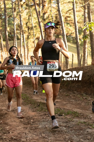 CircuitoTrail10k-rauldom-9266.jpg